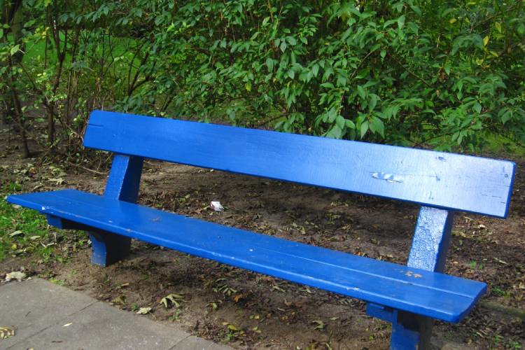 Blaue Bank